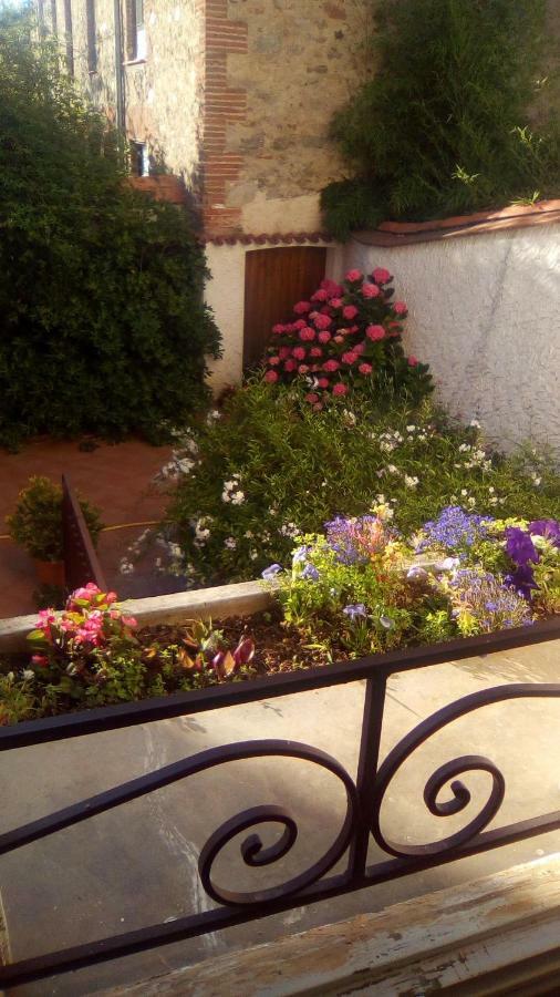 Maison Chene Liege Maureillas Екстериор снимка